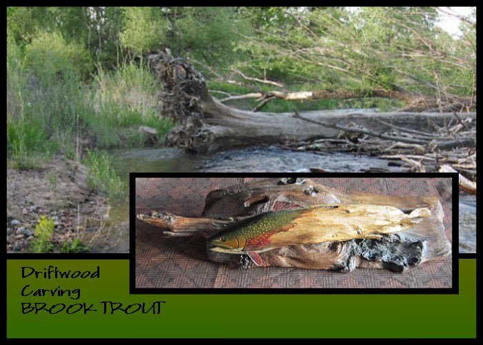 Wildlife Intentions: Brook trout